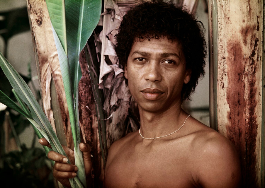 O Djavan das canções